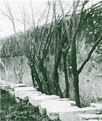 FOTO: JAUME RIVERA
