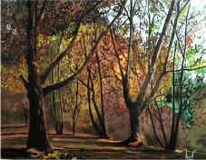 La Fageda d'en Ramon [RAMON JOVER]