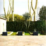 Planters a la Devesa. Girona OLI SOBRE TELA 46x46 cm: ROCA DELPECH-COSTA