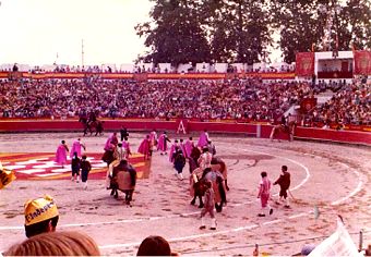 La plaça de toros de Santa Eugènia de Ter (1975) FOTO: QUIM TORRA