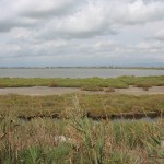 Sant Carles de la Ràpita, terres de l'Ebre FOTO: EL DIMONI