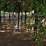 Parc de la Comtessa Ermessenda passada per aigua!, al barri de Sant Narcís FOTO: CARLES PALACIO i BERTA