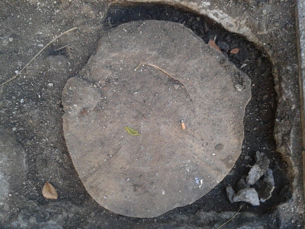 FOTO: EL DIMONI (11·11·2015)