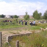 El pati dels tarongers és a la barraca que tenen a les hortes de Santa Eugènia de Ter FOTO: ELDIMONI.COM