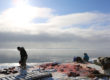 Una imatge del doc. "Angry inuk" FOTOGRAMA: ELDOCUMENTALDELMES.COM