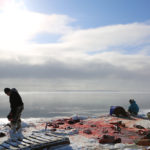 Una imatge del doc. "Angry inuk" FOTOGRAMA: ELDOCUMENTALDELMES.COM