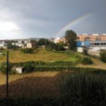 El futur està en la proximitat, el respecte al medi i la fraternitat FOTO: EL DIMONI DE LA FÀBRICA