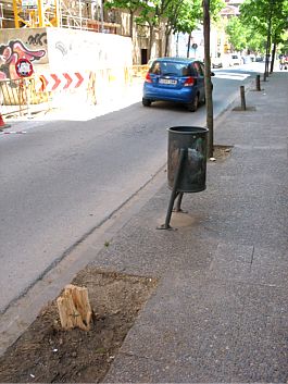 En primer pla, a la imatge, el que queda d'un arbre de 12 anys... la paperera que trontolla... un arbre solitari, amb el dies comptats... el que queda d'altres dos que ja varen caure anteriorment... i el pas estret FOTO: EL DIMONI