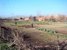 La poesia de les Hortes de Santa Eugènia de TerFOTO: CAROLINA
