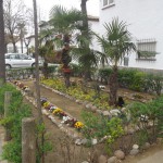 Flors, gat i jardinet públic al barri de Sant Narcís, l'abril de 2012 FOTO: AUGIRONA [gironabtt.blogspot.com.es]