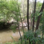 Tornant del tanatori de Girona, dissabte, per la carretera de Sant Feliu, l'Onyar flueix, corre... FOTO: EL DIMONI