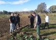Imatge de l'horta comunitària a Santa Eugènia de Ter FOTO: XARXA